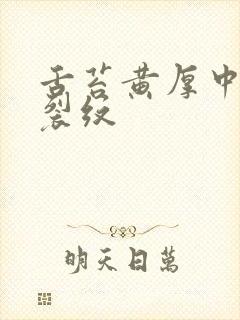 舌苔黄厚中间有裂纹 舌苔黄厚中间有裂纹