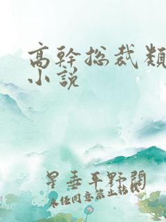 高干总裁类宠文小说