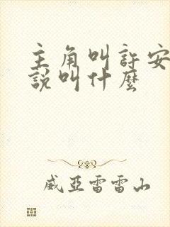 主角叫许安的小说叫什么