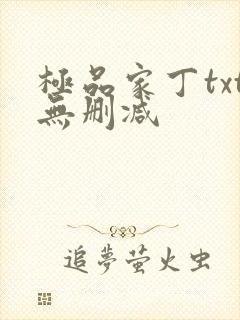 极品家丁txt无删减