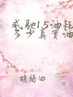 威驰1.5油耗多少真实油耗多少