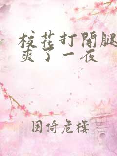 校花打开腿让我爽了一夜