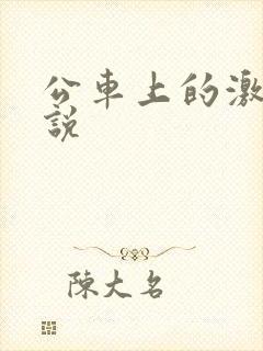 公车上的激情小说