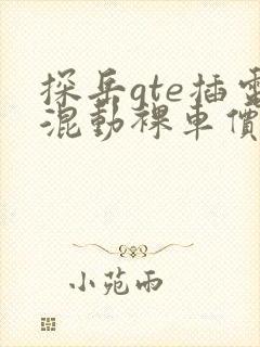 探岳gte插电混动裸车价