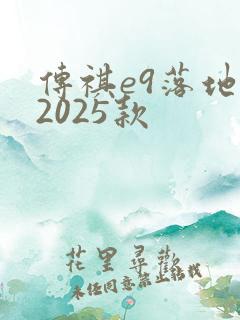 传祺e9落地价2025款 传祺e9落地价2025款