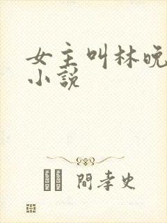 女主叫林晚晚的小说