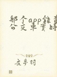 那个app能查公交车实时到站 那个app能查公交车实时到站