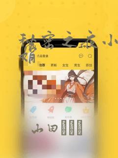 秘密之夜小说小娟