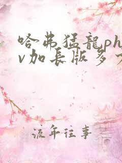 哈弗猛龙phev加长版多少钱一辆2024