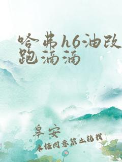 哈弗h6油改气跑滴滴