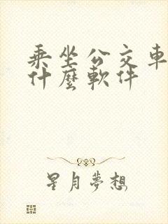 乘坐公交车下载什么软件