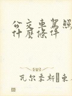 公交车驾照需要什么条件