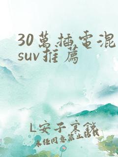 30万插电混动suv推荐