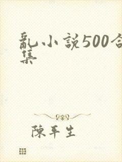 乱小说500合集
