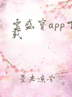 云盛宝app下载