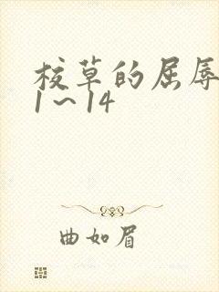 校草的屈辱调教1～14