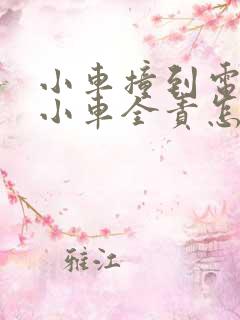 小车撞到电动车小车全责怎样理赔 小车撞到电动车小车全责怎样理赔