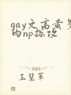 gay文高黄多肉np总攻