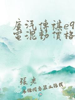 广汽传祺e9插电混动价格