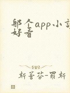 那个app小说好看 那个app小说好看