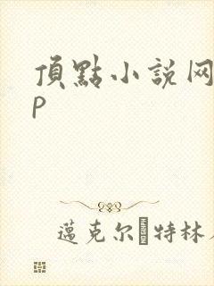 顶点小说网app