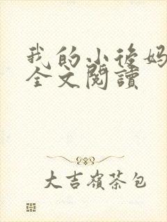 我的小后妈小说全文阅读