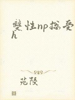 双性np总受高h