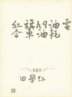 红旗h9油电混合车油耗