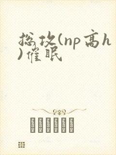 总攻(np高h)催眠