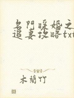 名门暖婚之权爷追妻攻略txt