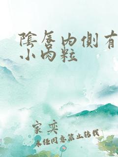 阴唇内侧有一排小肉粒