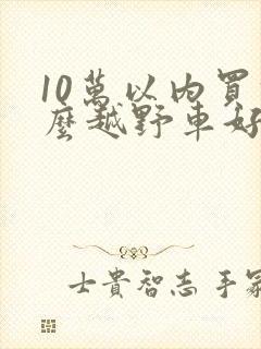 10万以内买什么越野车好推荐一下