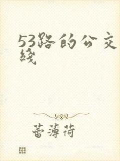53路的公交路线