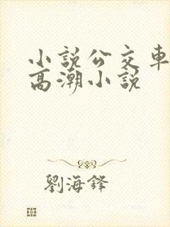 小说公交车被上高潮小说