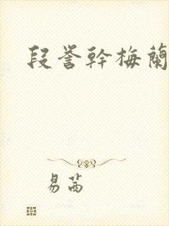 段誉干梅兰竹菊