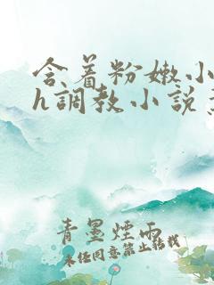 含着粉嫩小奶头h调教小说叶渺渺