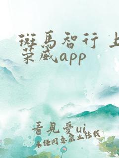 斑马智行 上汽荣威app