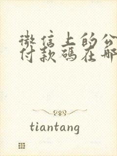 微信上的公交车付款码在哪