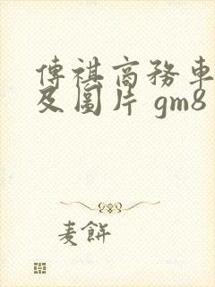 传祺商务车报价及图片 gm8