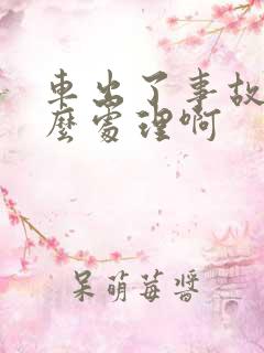 车出了事故,怎么处理啊