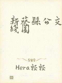新蔡县公交车路线图