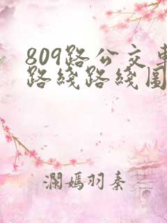809路公交车路线路线图