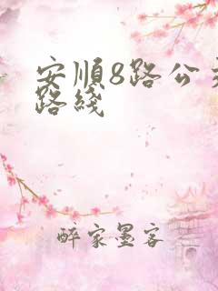 安顺8路公交车路线