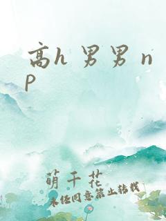 高h 男男 np