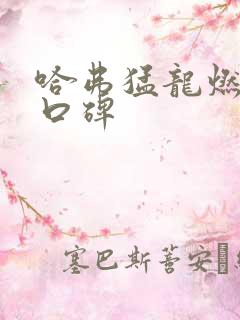 哈弗猛龙燃油版口碑 哈弗猛龙燃油版口碑