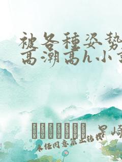 被各种姿势c到高潮高h小说