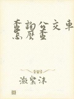 查询公交车线路怎么查