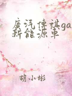 广汽传祺ga6新能源车