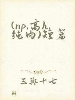 (np,高h,纯肉)短篇 (np,高h,纯肉)短篇