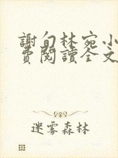 谢旬林宛小说免费阅读全文最新章节